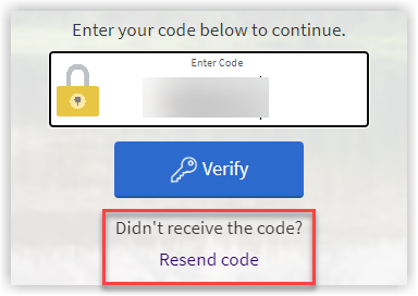 Screen shot showing the window for entering login code.